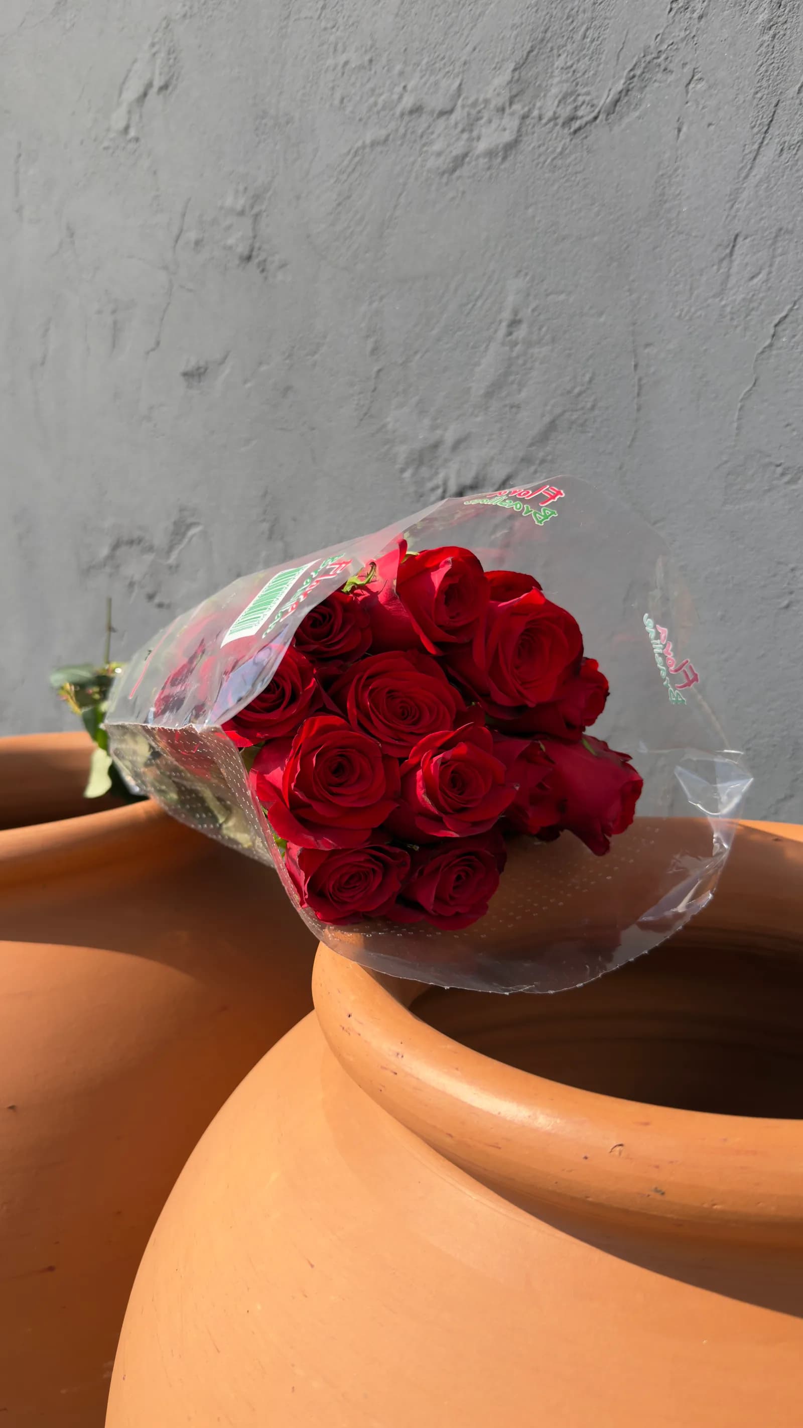 Maço Rosa Vermelha Nacional (Longa)