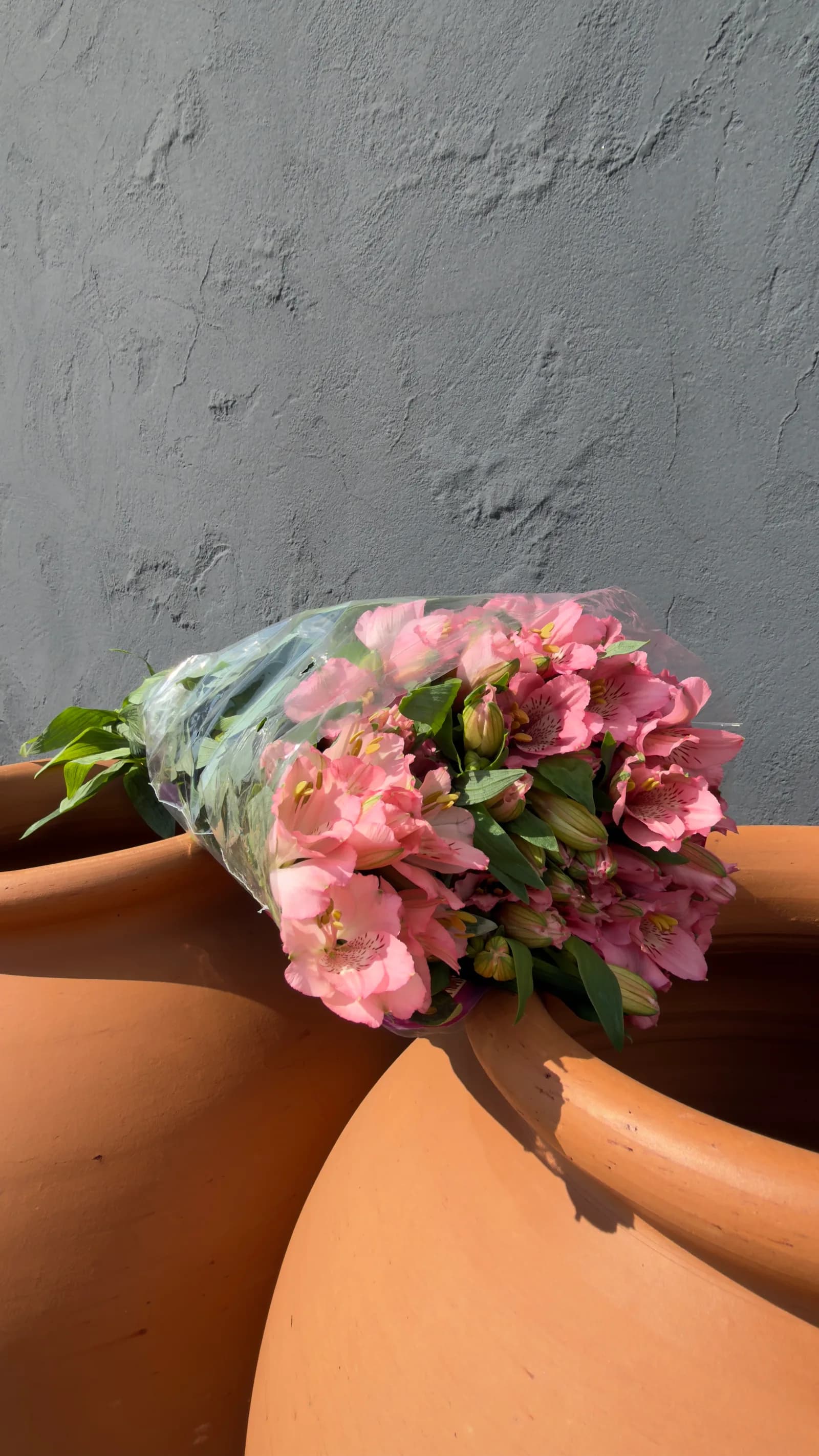 Maço de Alstroemeria