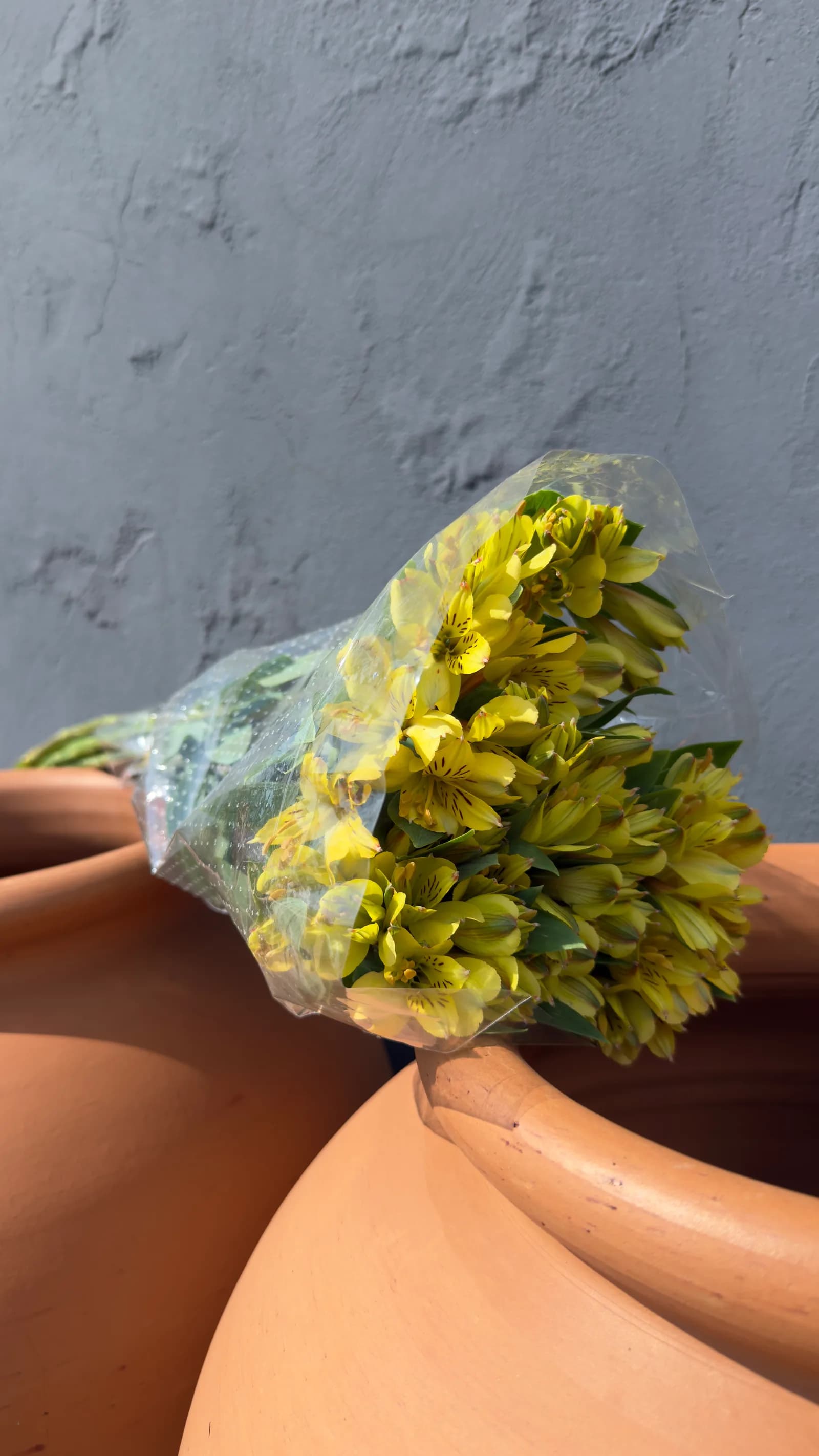 Maço de Alstroemeria